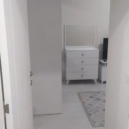 Modern In