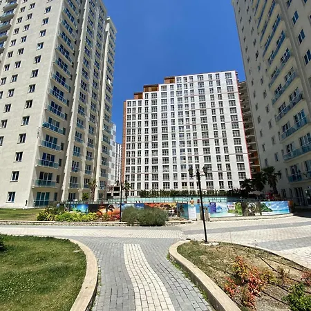 Modern In Estambul